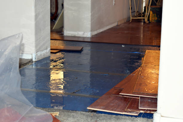 Professional Water Damage Restoration technician working in Helenville, WI